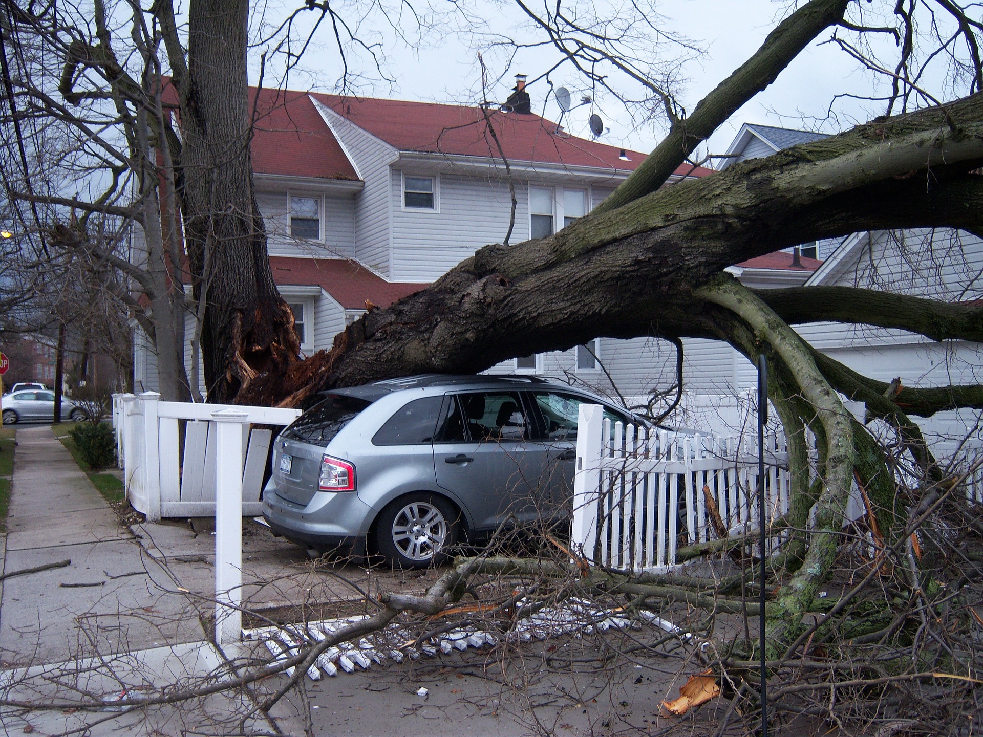 sherwood ar emergency tree removal service services fallen trees removal sherwood ar emergency tree service services